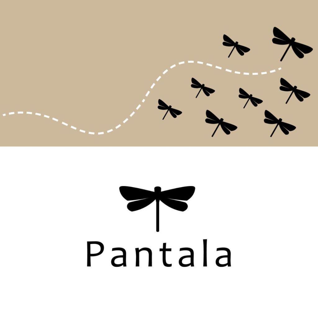Learn more about Pantala People Solutions